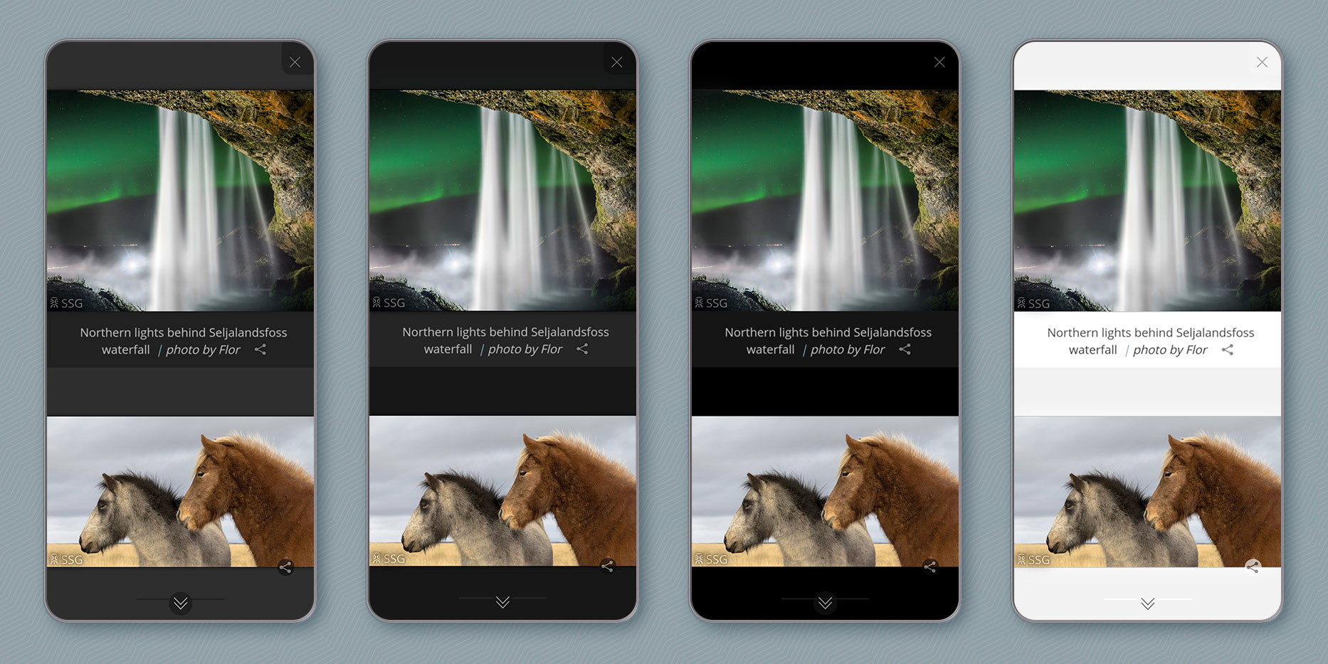 Story Show Gallery on smartphones in portrait mode. There are four color themes
