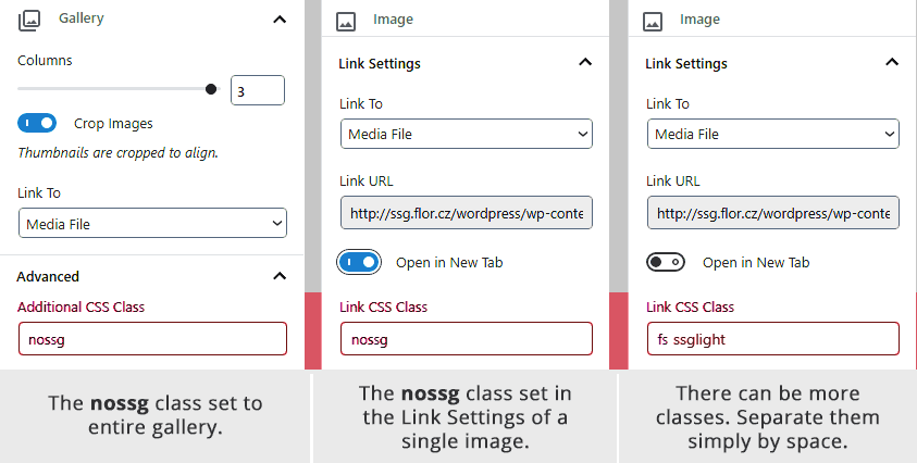 How to enter nossg and other classes into a Gallery and Image settings